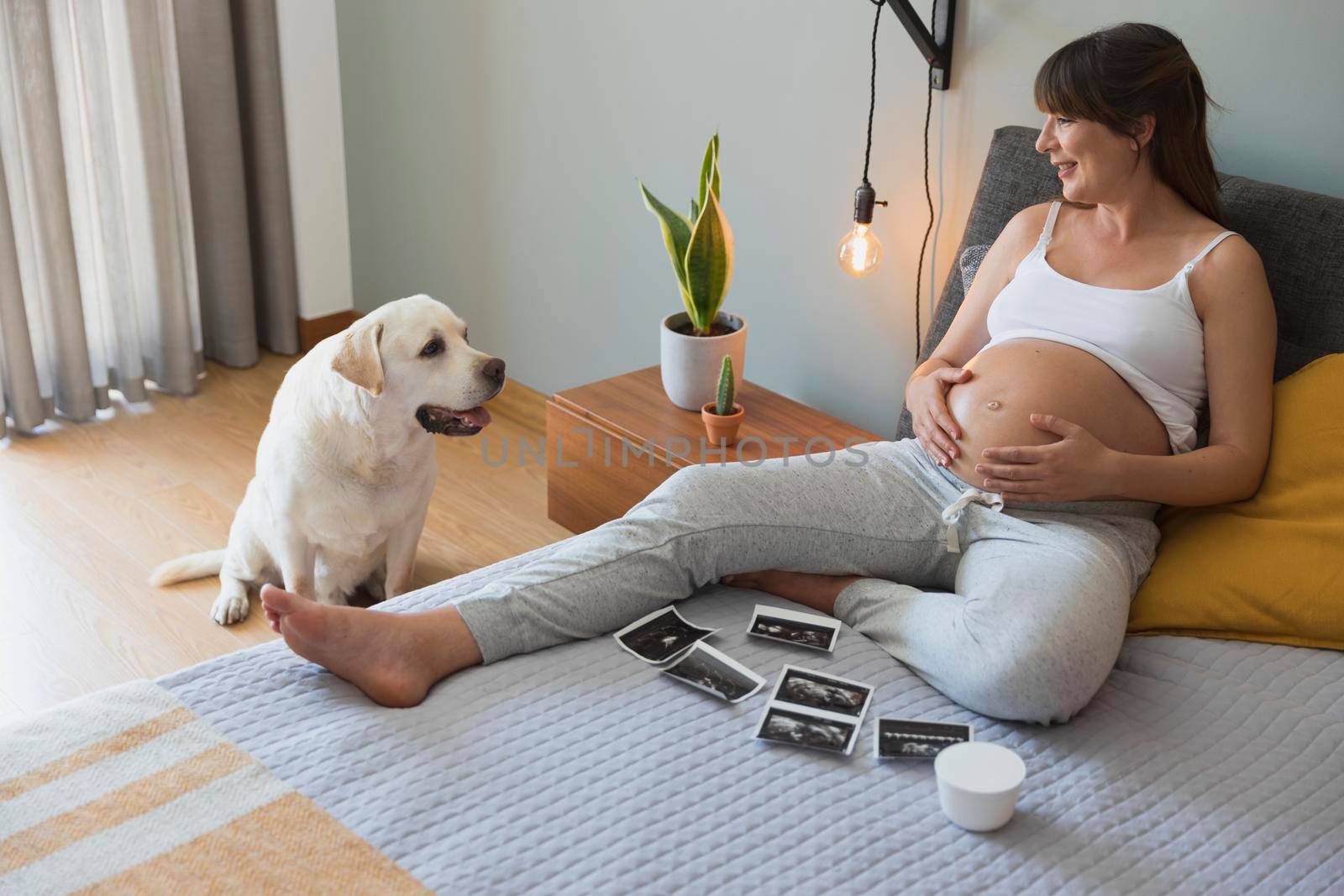 Pregnant woman telling the dog that he is going have a brother, prenatal health concept.