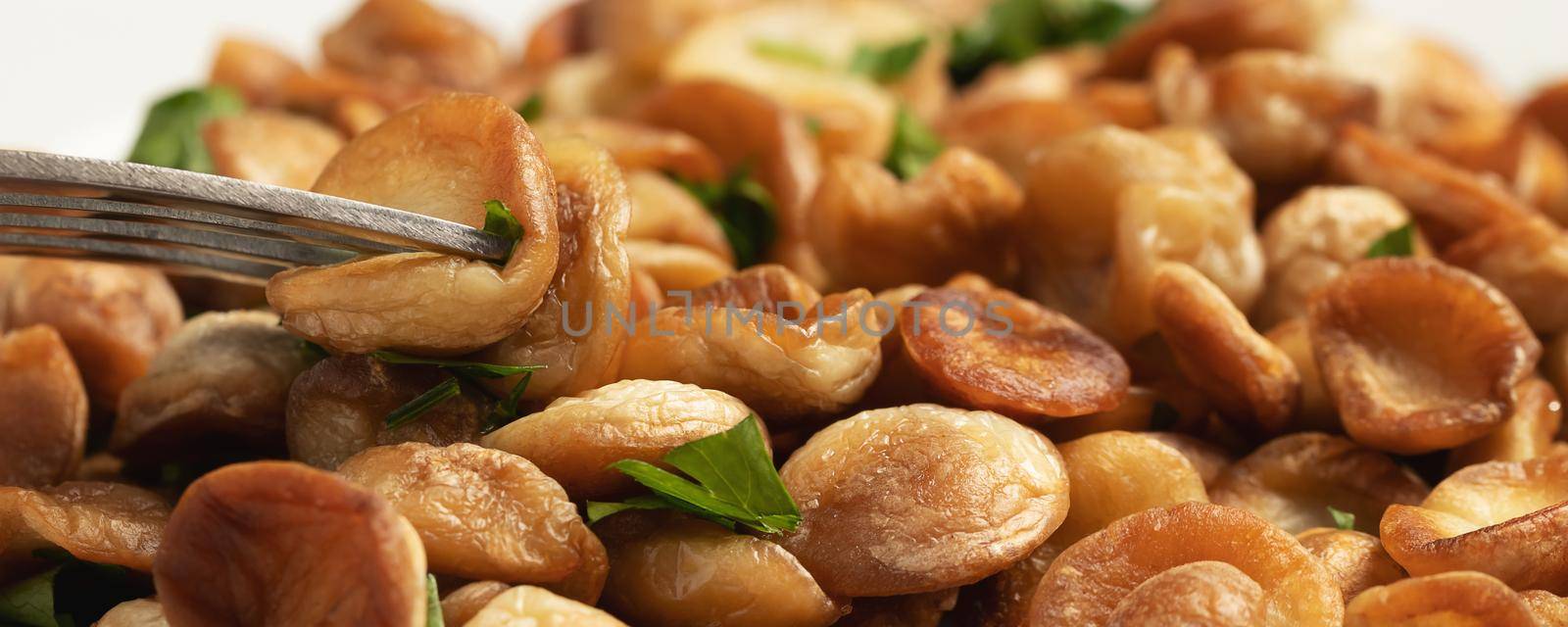 Fried puffball mushrooms on a white plate with a fork. Fried mushroom ready dish, hoizontal, banner by galsand