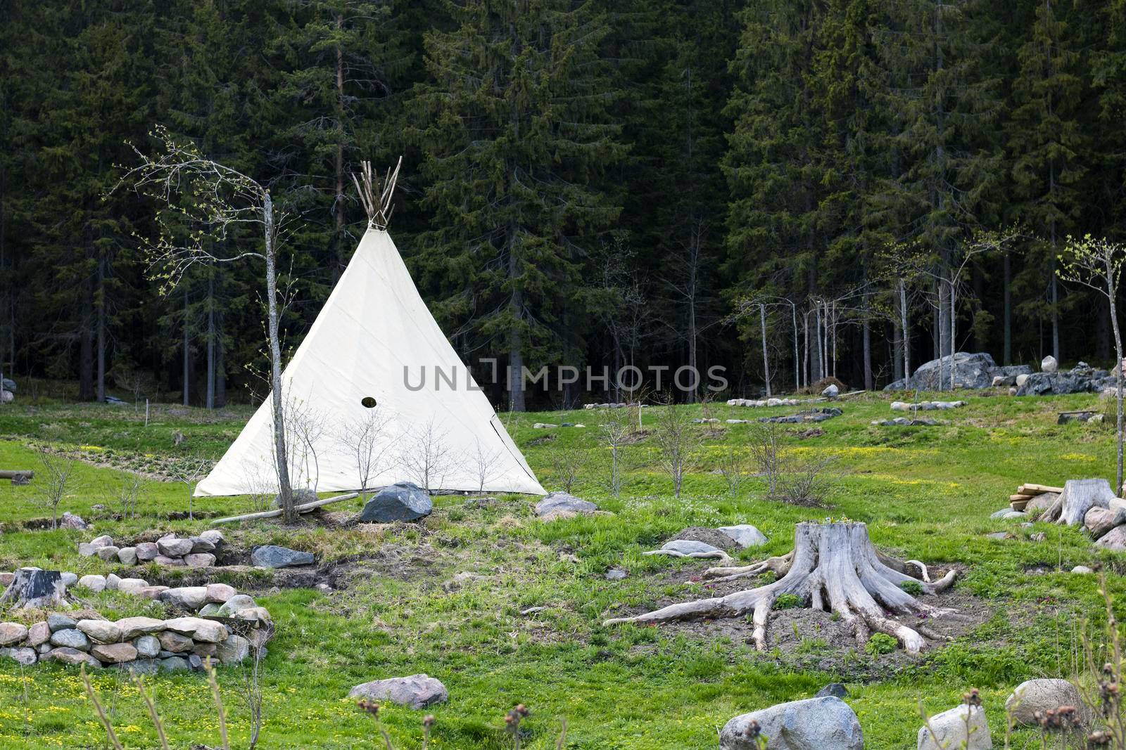 Summer wigwam in an open area near the forest in the afternoon or in the morning.