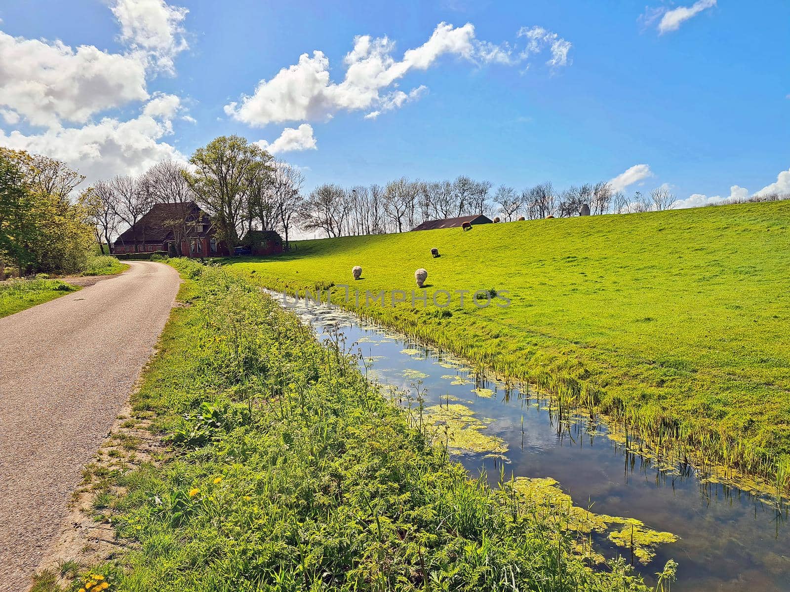 Spring in the countryside from the Netherlands by devy