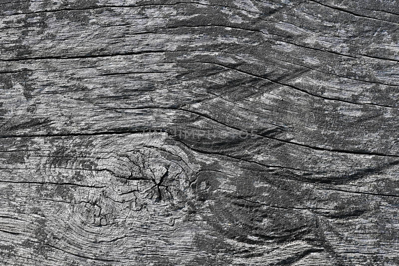 Old wooden background. Close up photo with wood texture for design.