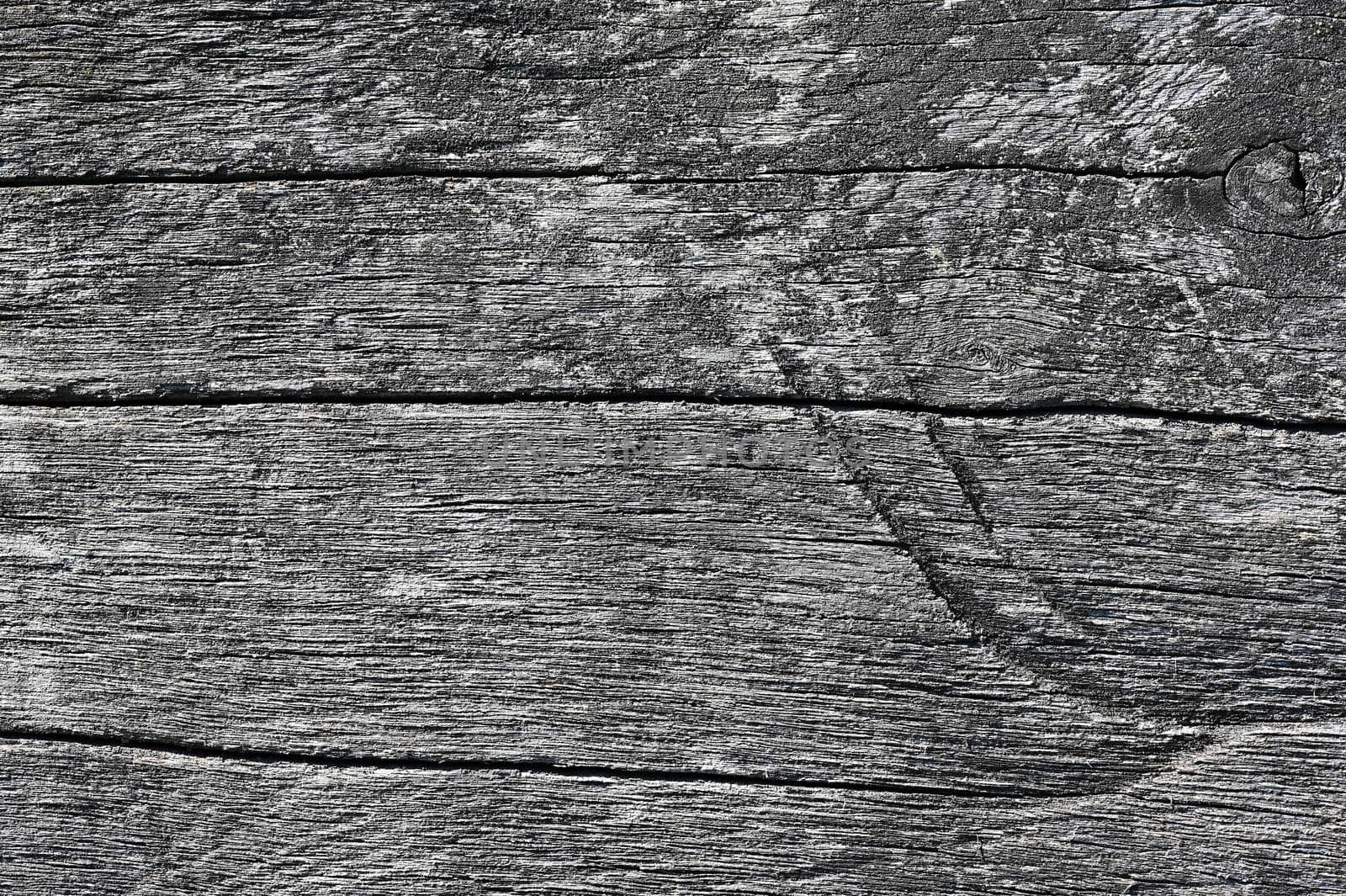 Old wooden background. Close up photo with wood texture for design.