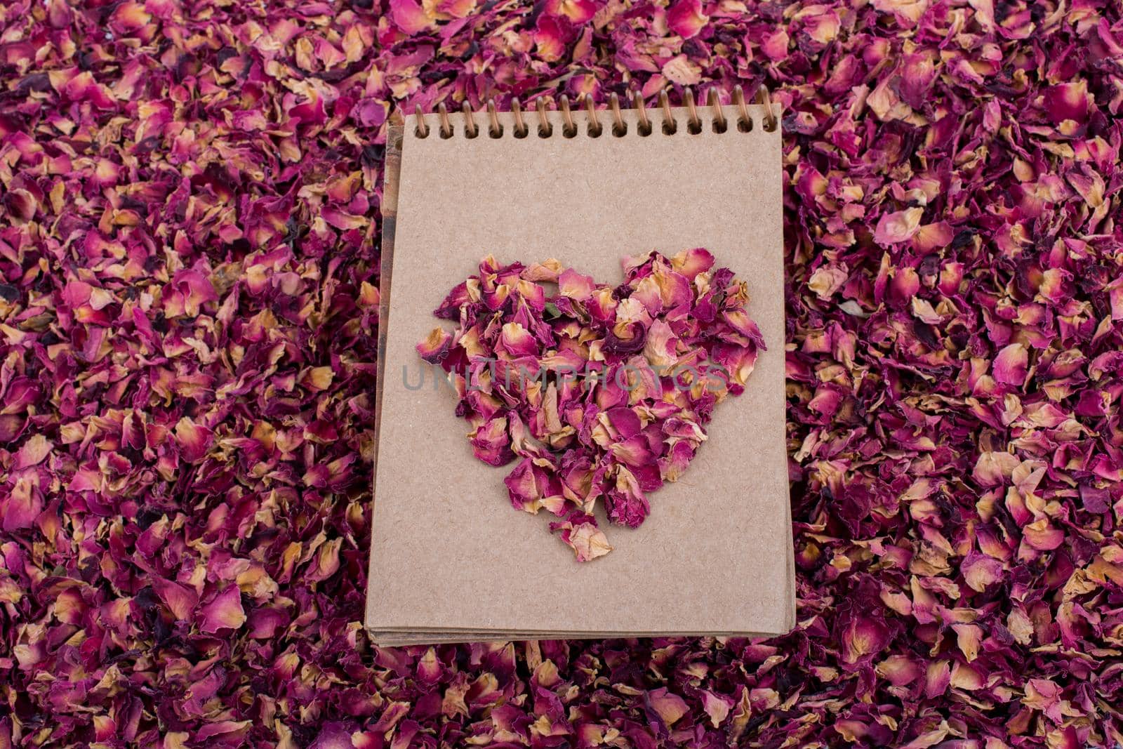 Dry petals form a heart shape  on a spiral notebook by berkay