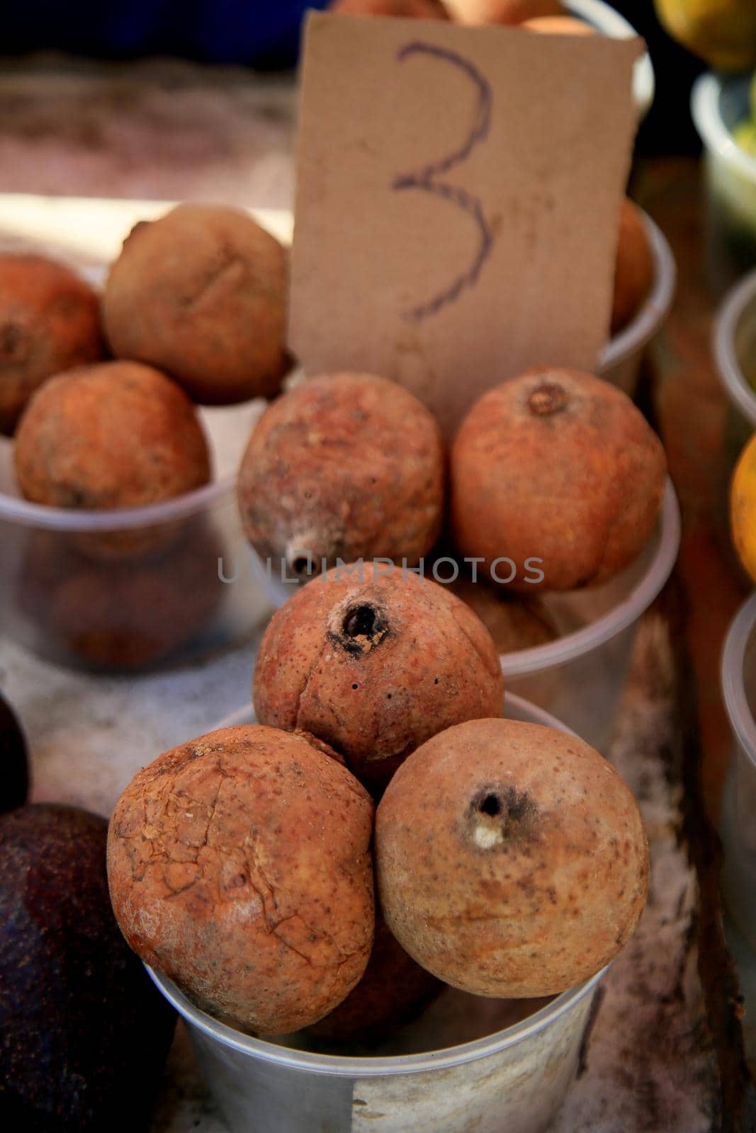 salvador, bahia, brazil - june 18, 2021: genipapo fruit is seen for sale at a free fair in the city of Salvador.