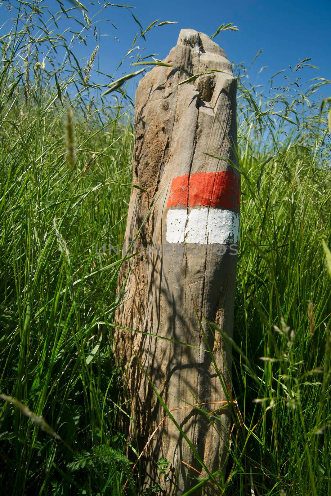 Signals typical for the identification of the path in the park of the Apuan Alps Italy