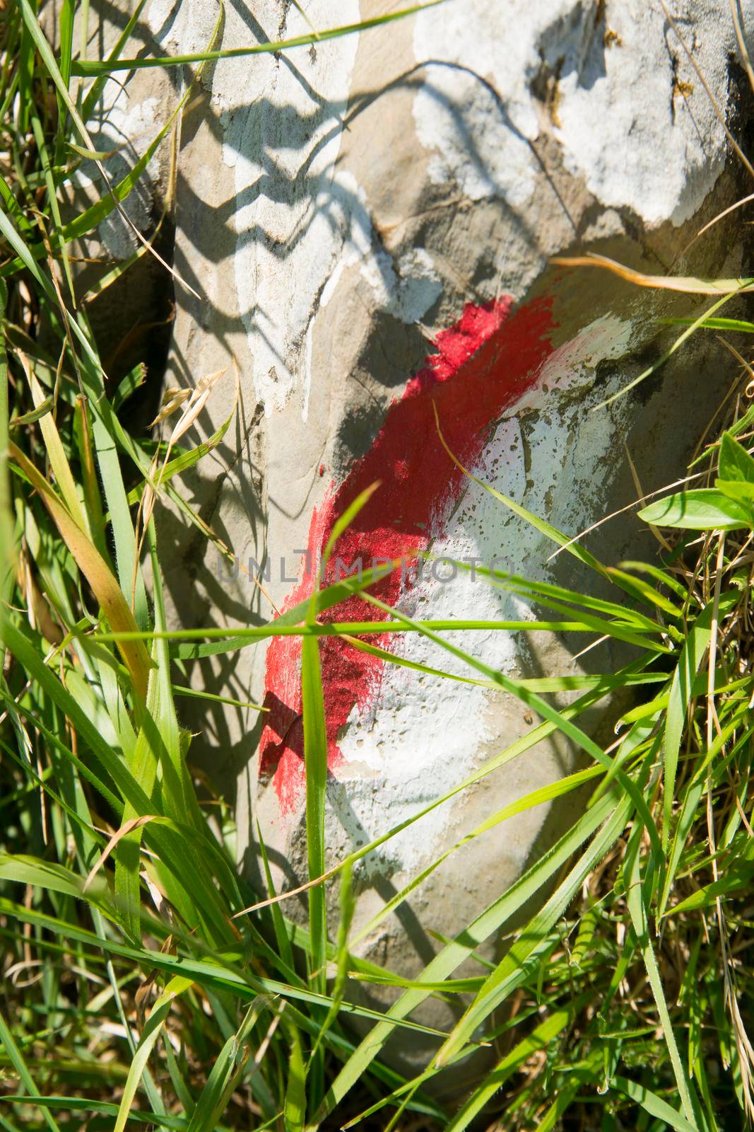 Signals typical for the identification of the path in the park of the Apuan Alps Italy