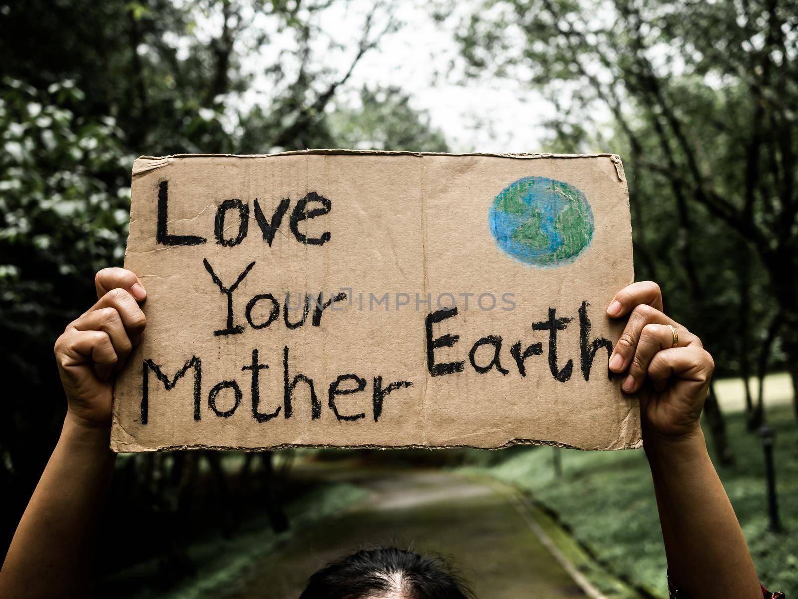 A female volunteer holding a nature conservation sign stands among the nature in the forest. The concept of World Environment Day. by TEERASAK