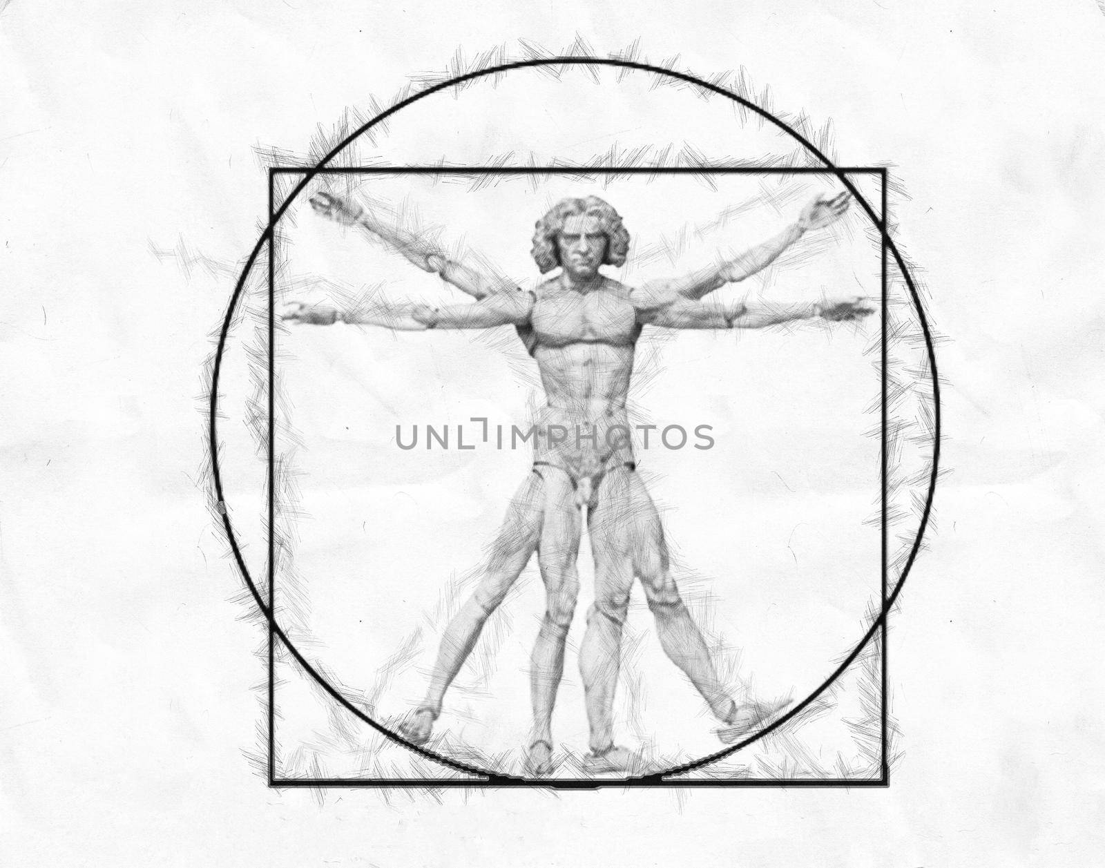 Vetruvian man, human anatomy study by Leonardo da Vinci .