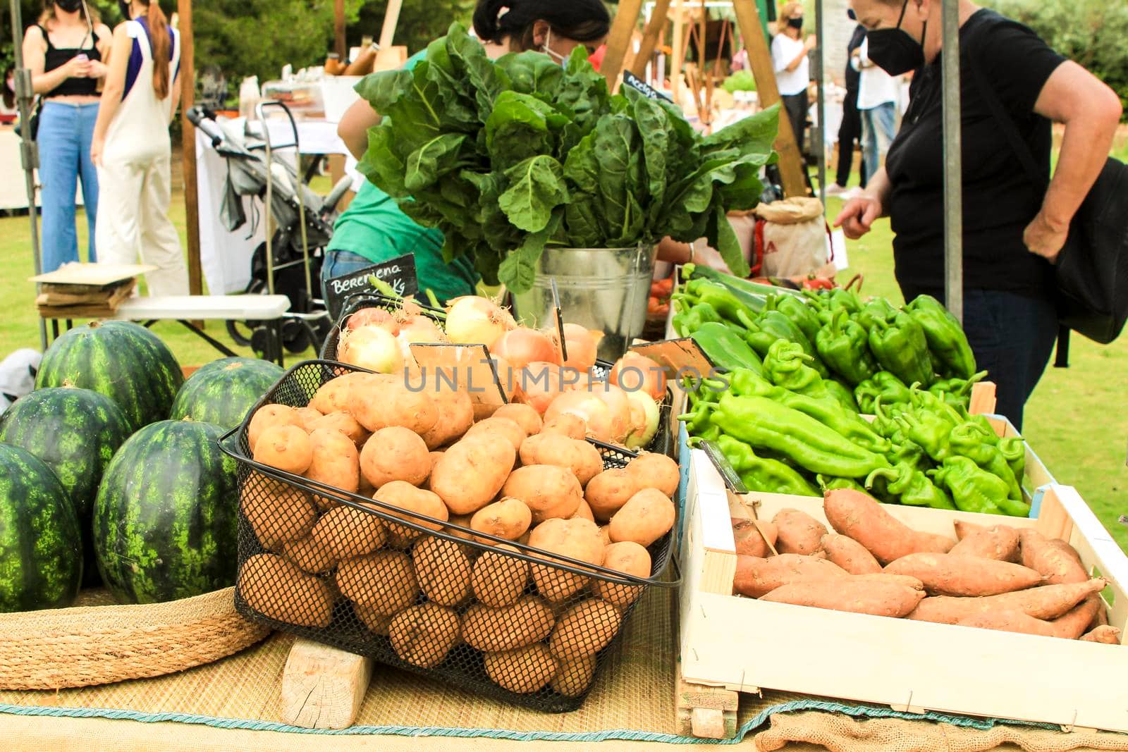Elche, Alicante, Spain- June 20, 2021: People buying Fresh products for sale at an ecological and sustainable market held in the countryside of Elche