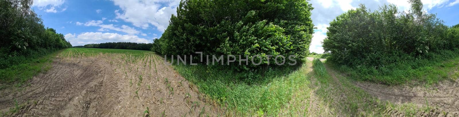 Panorama of countryside roads with fields and trees in northern europe.