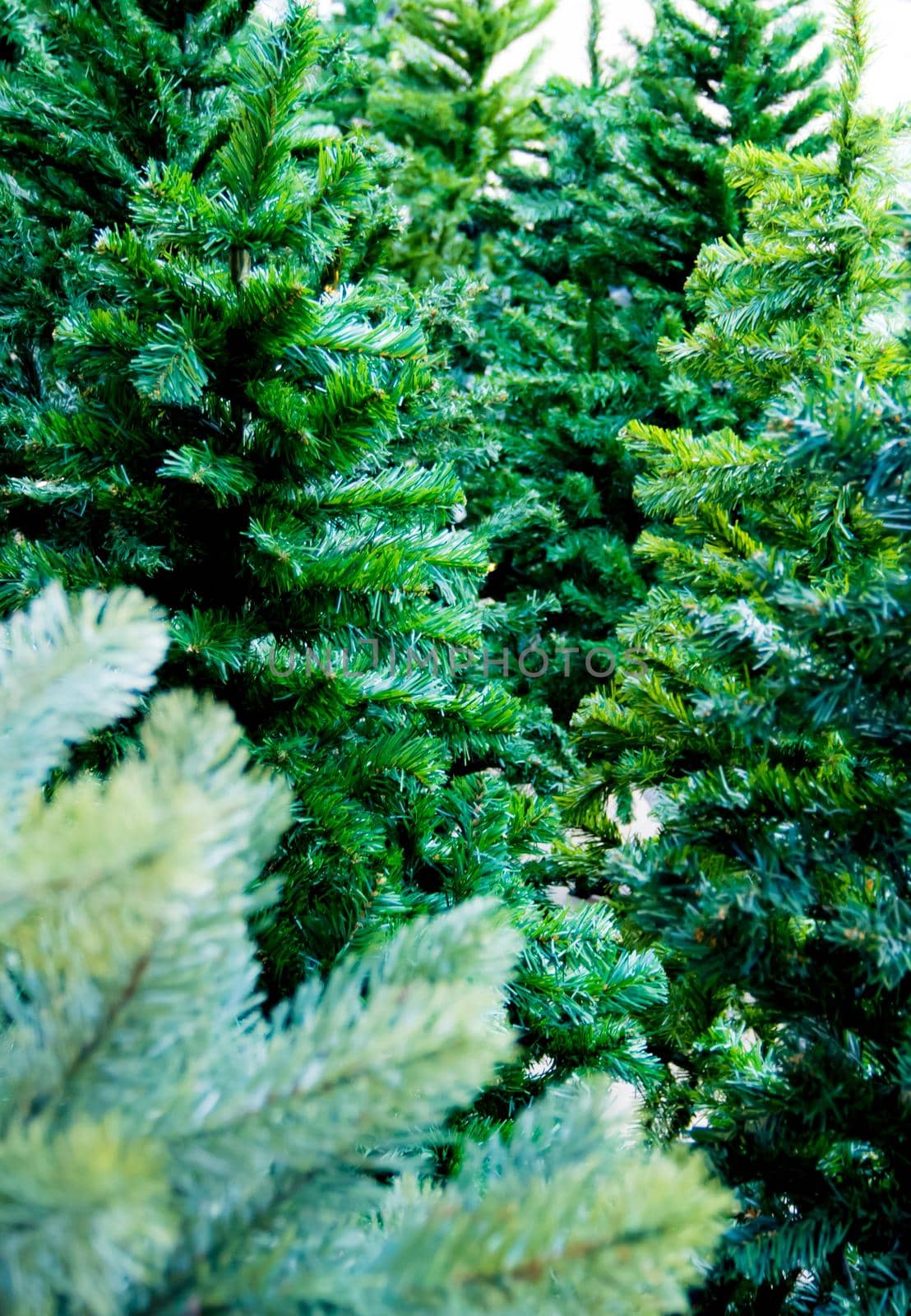 Artificial foliage made from plastic of artificial Christmas tree