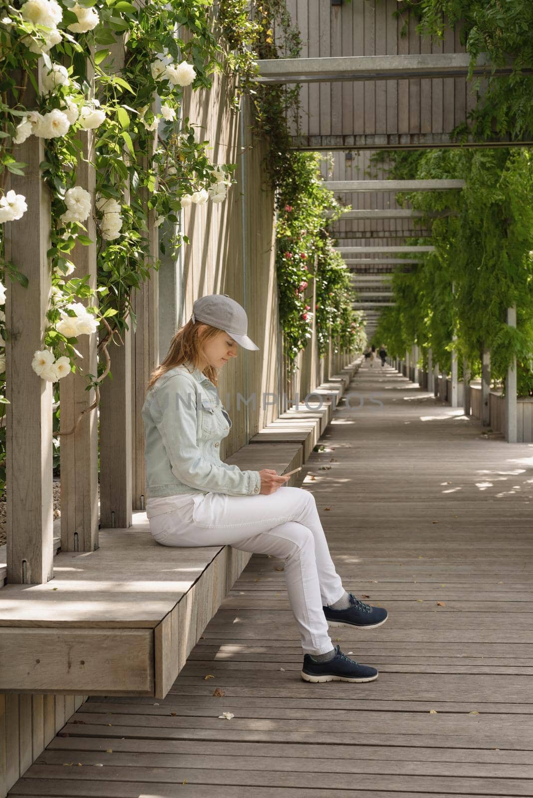 Woman sitting on the wooden bench using phone in green park alley, walls with white roses by Desperada