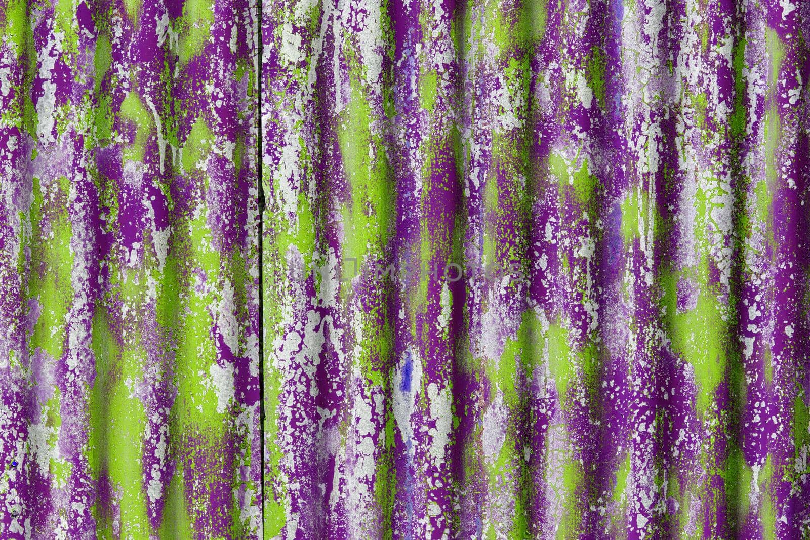colorful motley peeled off green and purple paint layers on corrugated zinc coated steel sheet - full frame background and texture