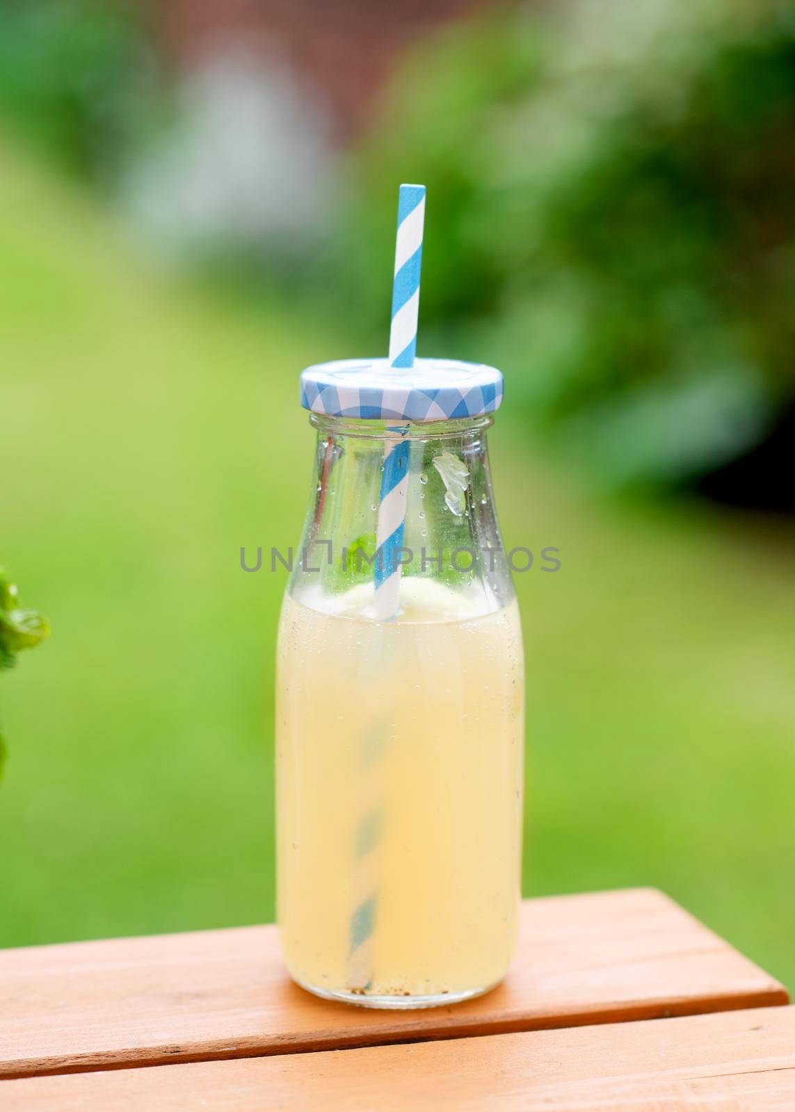 glass of ginger lemonade with lemon and meat leaf in the garden by Iryna_Melnyk