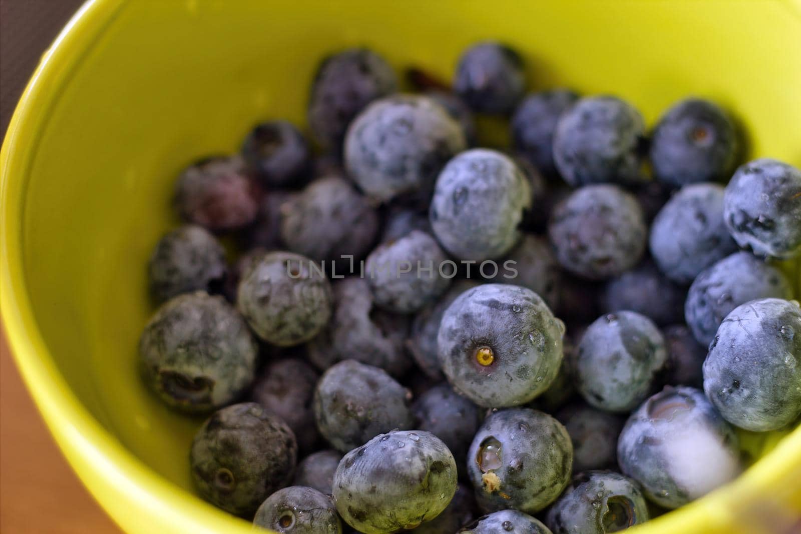 Top view closeup of Fresh Blueberries in a bowl. Blue forest berries. Macro photography of healthy fruits. by arpanbhatia