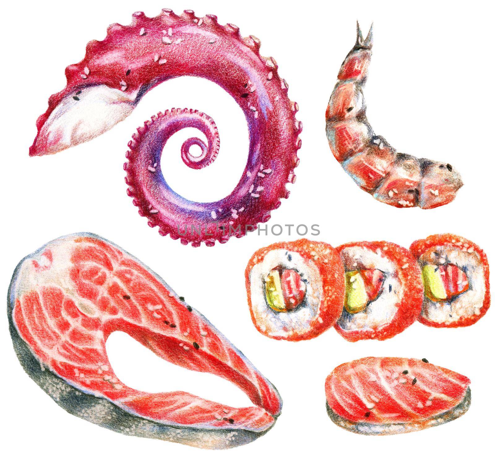 Color pencils realistic illustration of seafood - salmon steak, sushi, rolls, octopus tentacle and shrimp. Hand-drawn objects on white background.