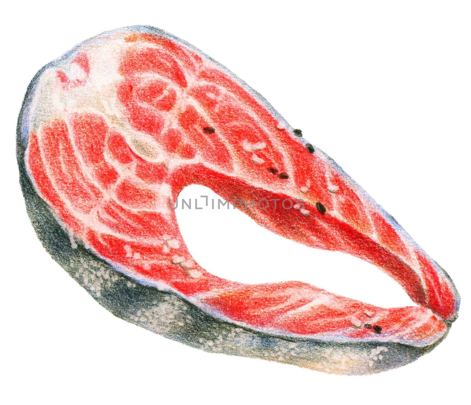 Color pencils realistic illustration of seafood - salmon steak. Hand-drawn object on white background.