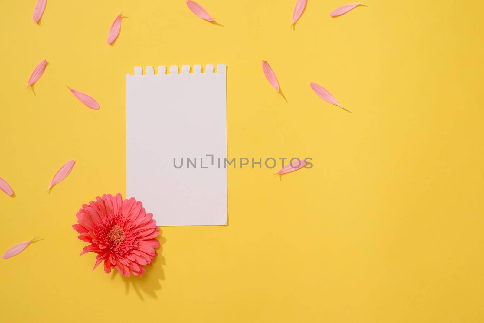 Love or valentine's day concept. Spring or summer background