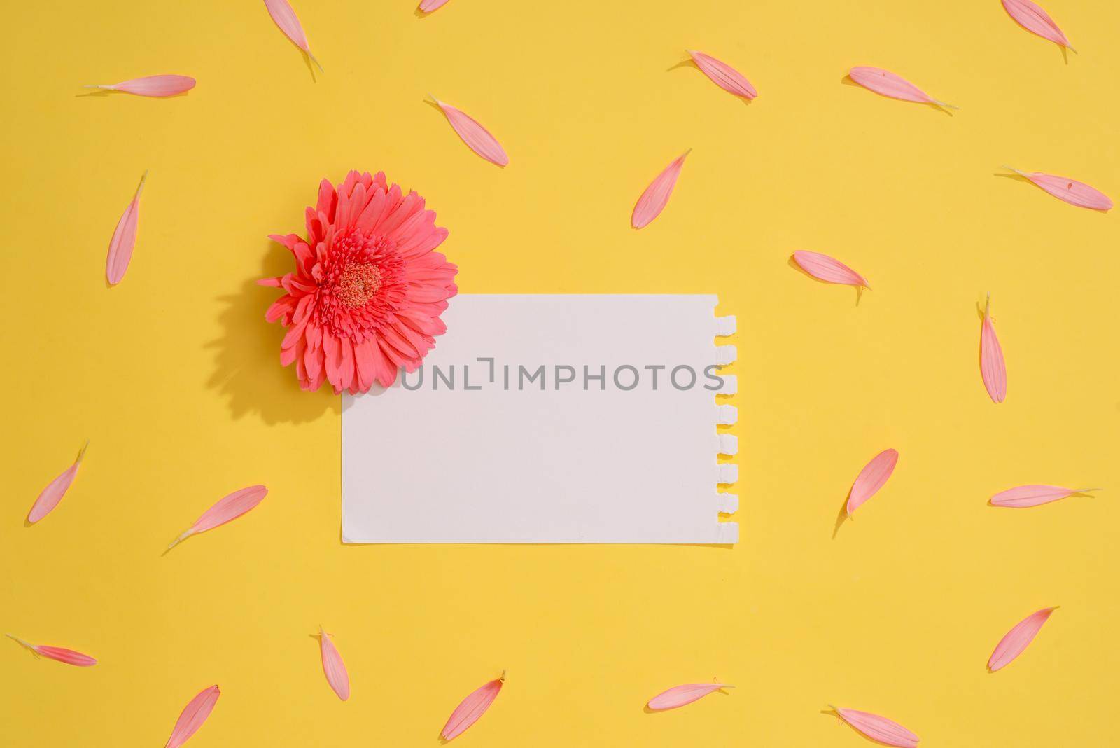 Love or valentine's day concept. Spring or summer background by makidotvn
