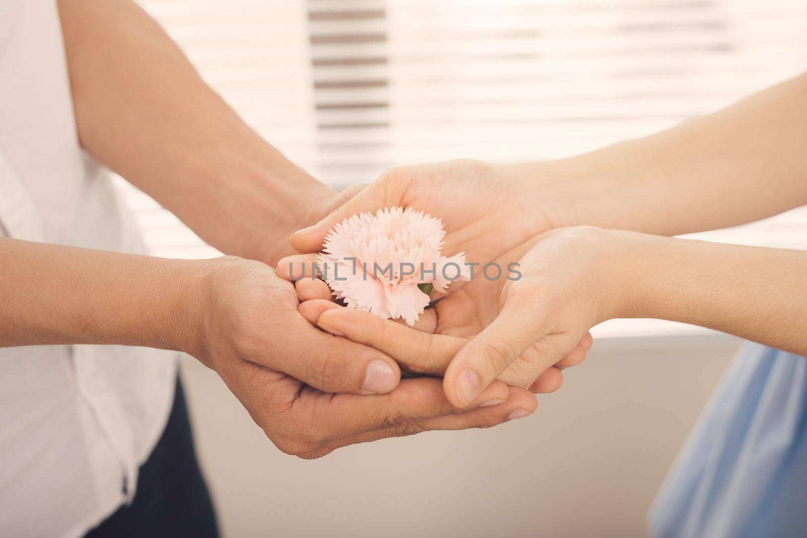 Couple in love. Man and woman hand over pink flower