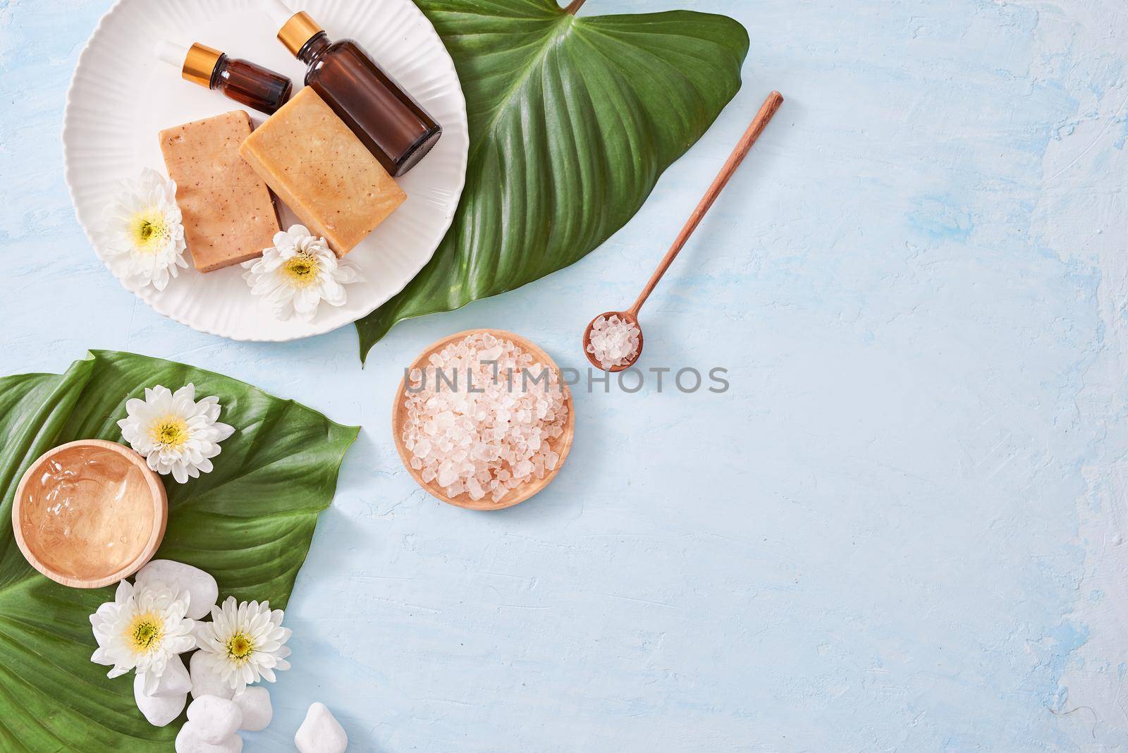 Spa setting with cosmetic cream, gel, bath salt and fern leaves on blue background