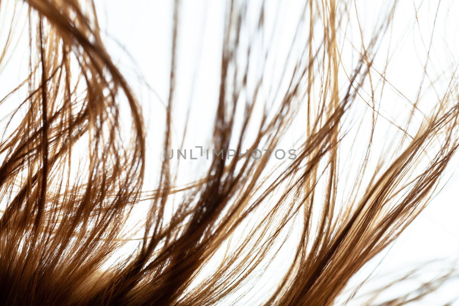 Windy hair. Abstract close up hairs on white background. by kokimk