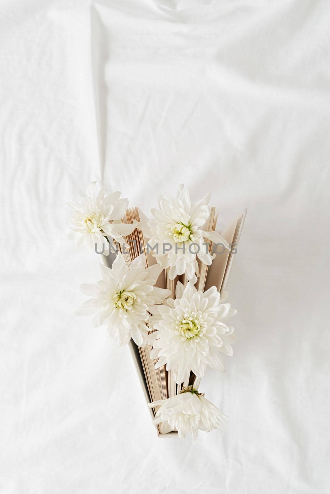 Spring reading concept. Top view of a book with white chrysanthemum flowers on white background. Flat lay