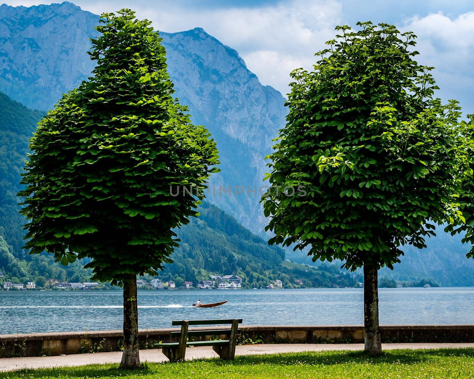 Two trees by the lake and a speedy boat passing, beautiful lake and mountains view