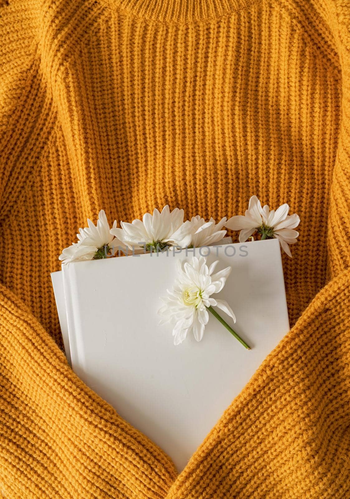 Top view of a book with white chrysanthemum flowers on yellow sweater by Desperada