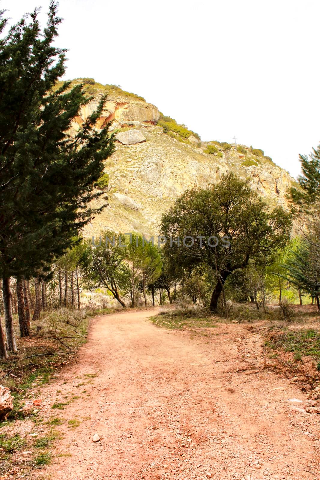 Mountain landscape and path between with green vegetation in spring in Castilla -La Mancha, Spain