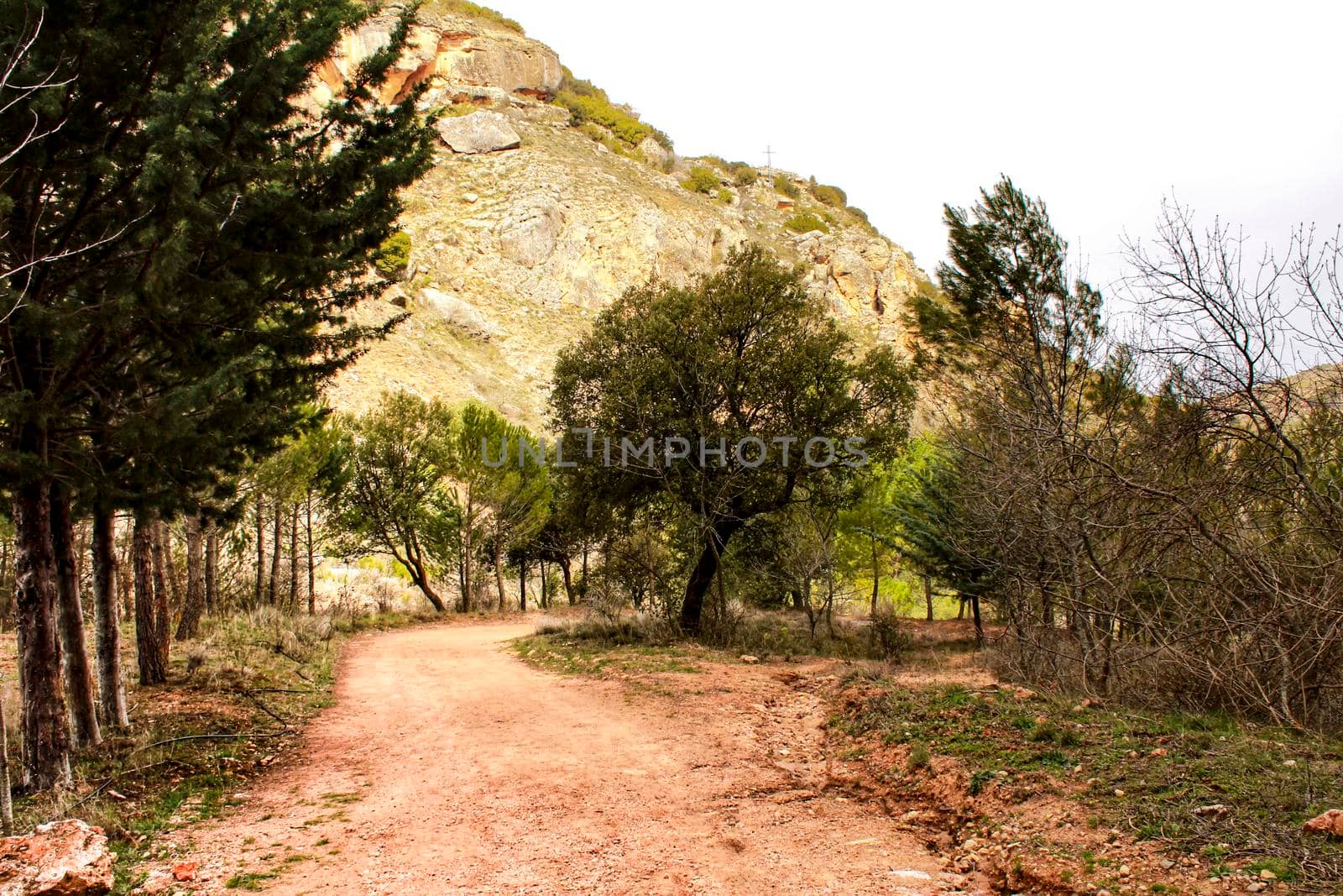 Mountain landscape and path between with green vegetation in spring in Castilla -La Mancha, Spain