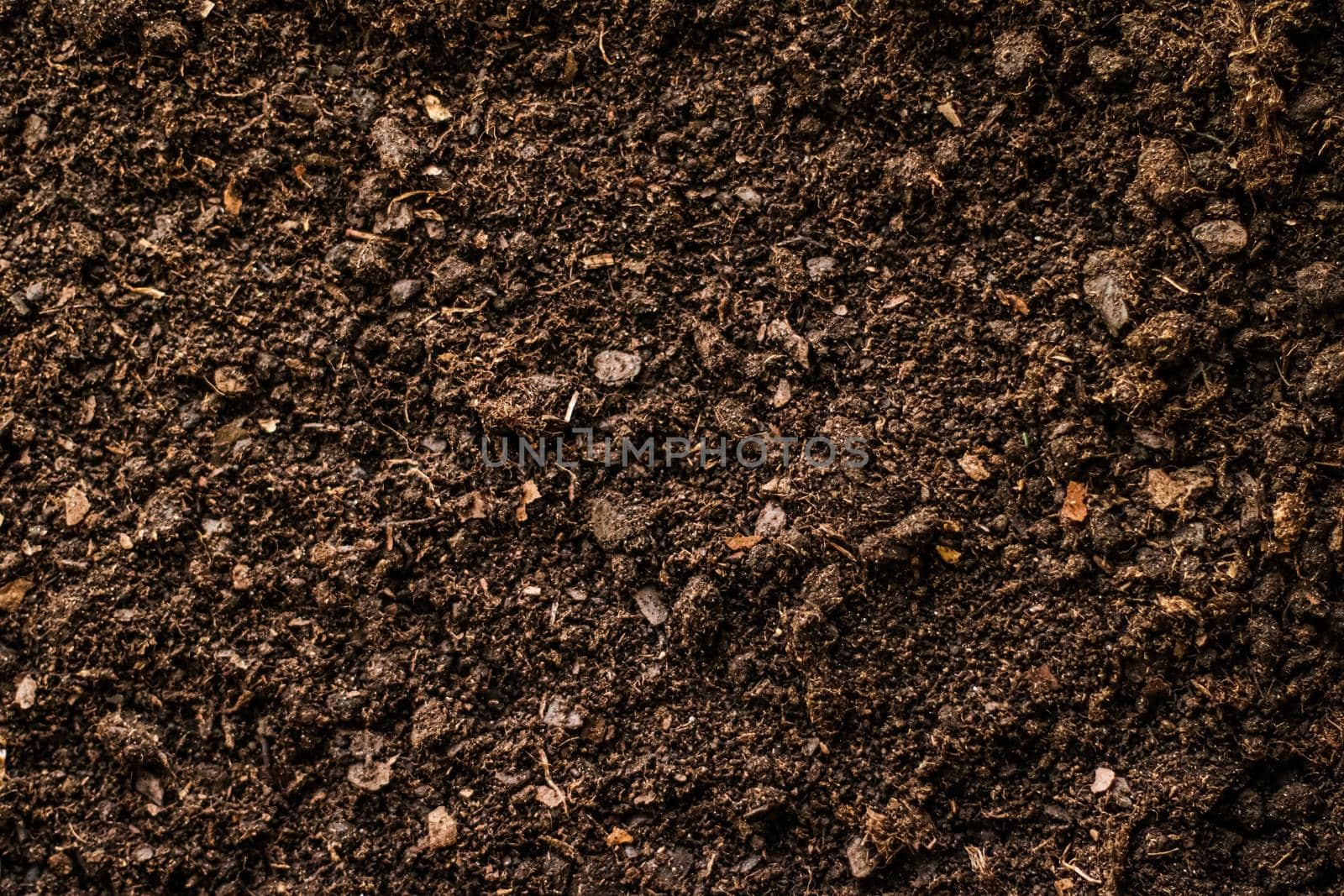 Earth ground texture as background, nature and environmental backdrop