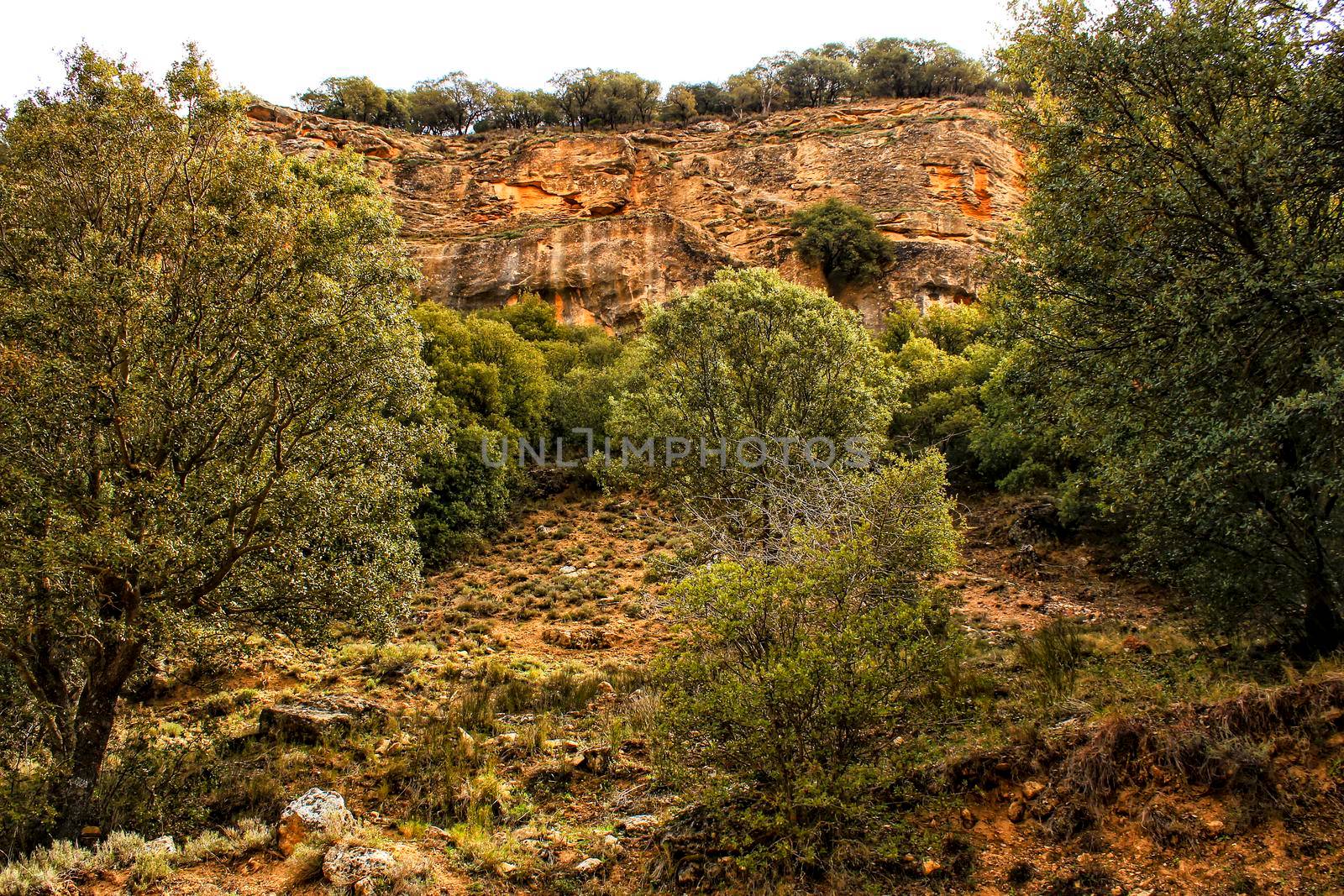 Mountain landscape with green vegetation in spring in Castilla-La Mancha, Spain