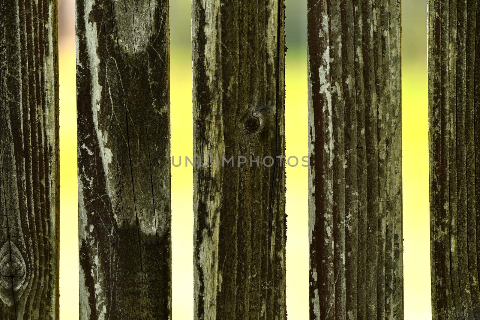 wooden fence with perpendicular columns and yellow background by Jochen