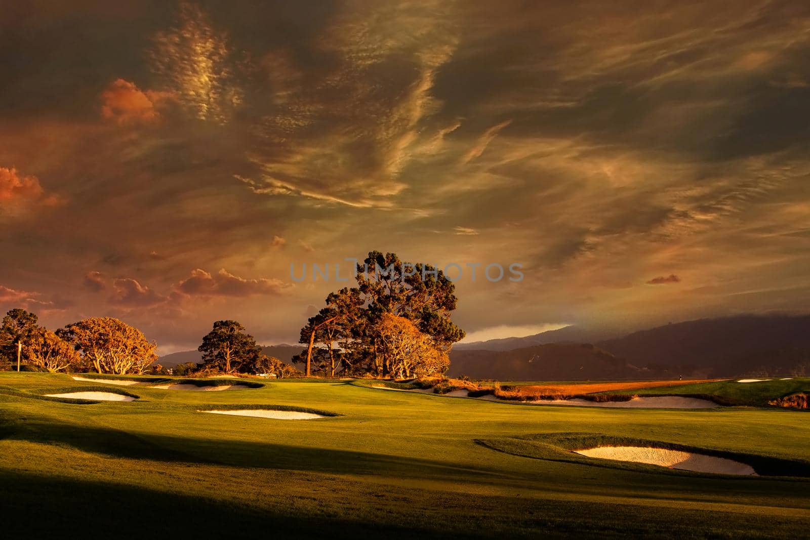 Coastline golf course, greens and bunkers in California, usa