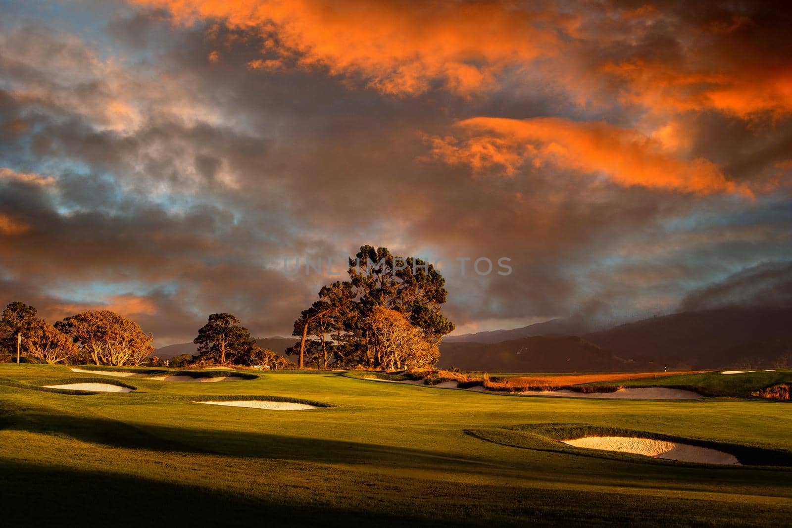 Coastline golf course, greens and bunkers in California, usa