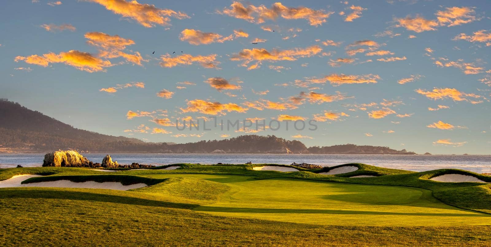 Coastline golf course, greens and bunkers in California, usa