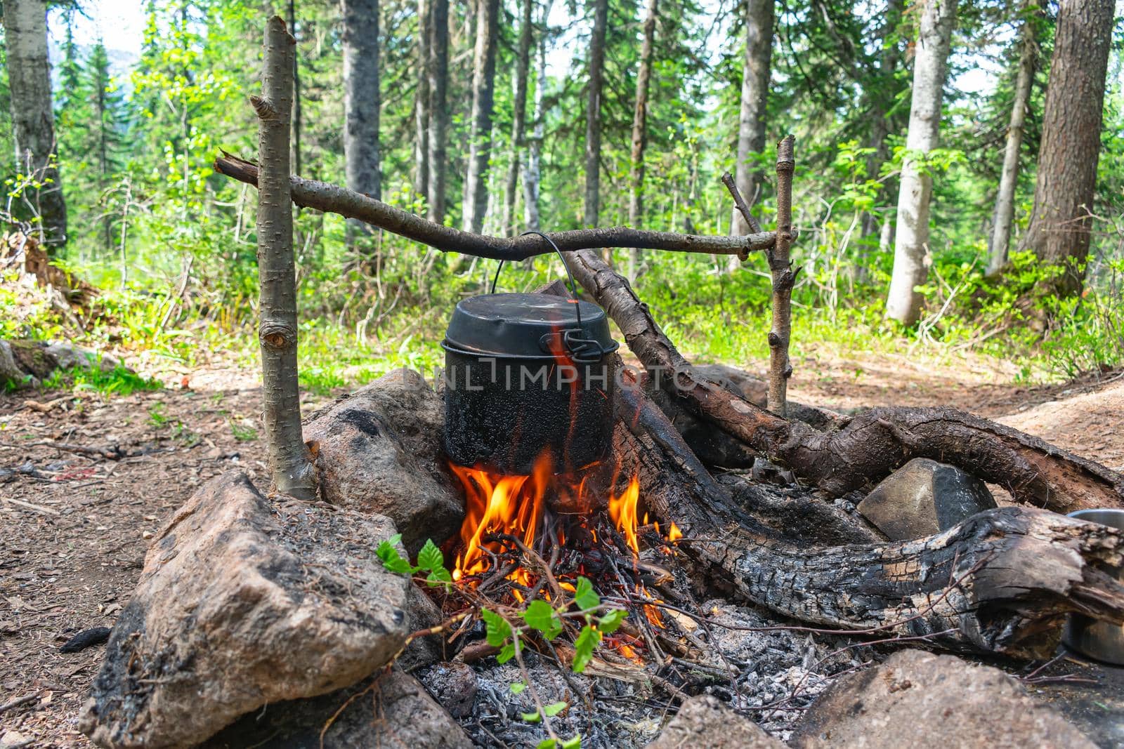 Cooking in a pot over a campfire in the forest during summer hiking in nature