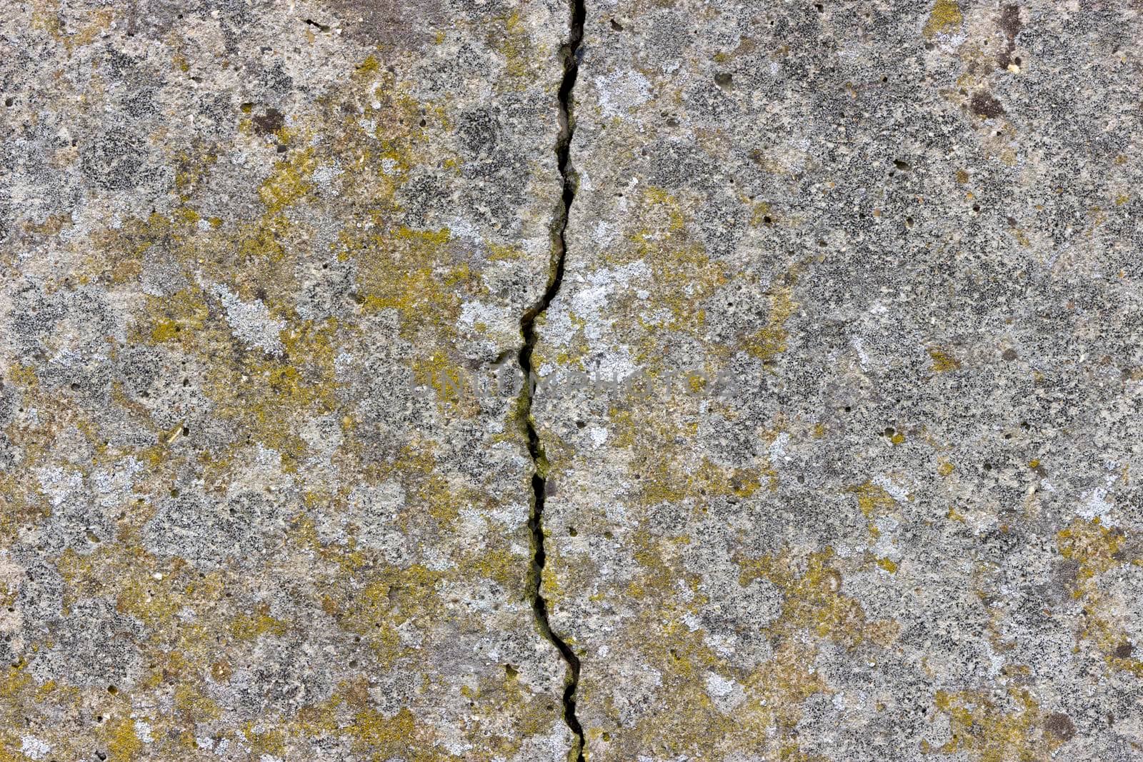 The surface is heavily textured with some yellow and white lichen and a large crack in the middle of the surface.