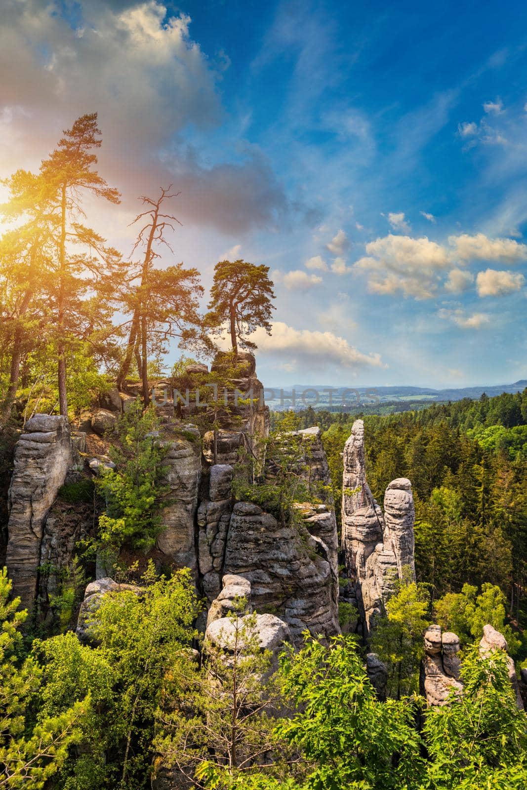 Prachov rocks (Prachovske skaly) in Cesky Raj region, Czech Republic. Sandstone rock formation in vibrant forest. Prachov Rocks, Czech: Prachovske skaly, in Bohemian Paradise, Czech Republic.