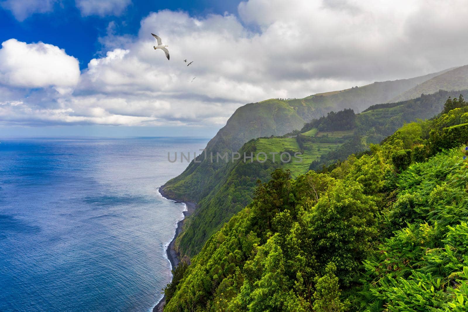 Azores panoramic view of natural landscape, wonderful scenic island of Portugal. Beautiful lagoons in volcanic craters and green fields. Tourist attraction and travel destination. Azores, Portugal.