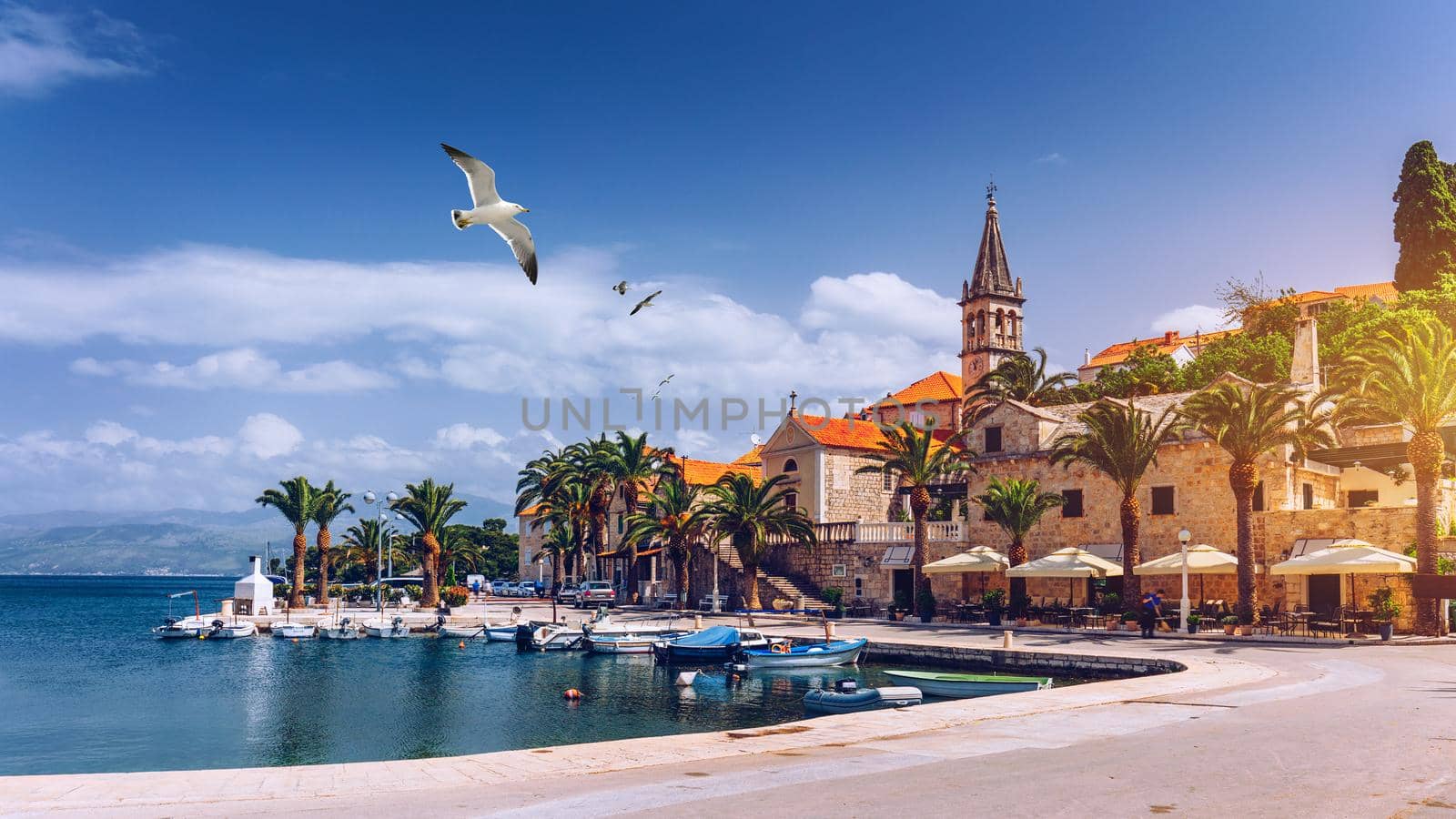 Splitska village with beautiful port and seagull's flying over the village, Brac island, Croatia. Fishing boats in Splitska village on Brac island seafront view, Dalmatia, Croatia, Croatia.