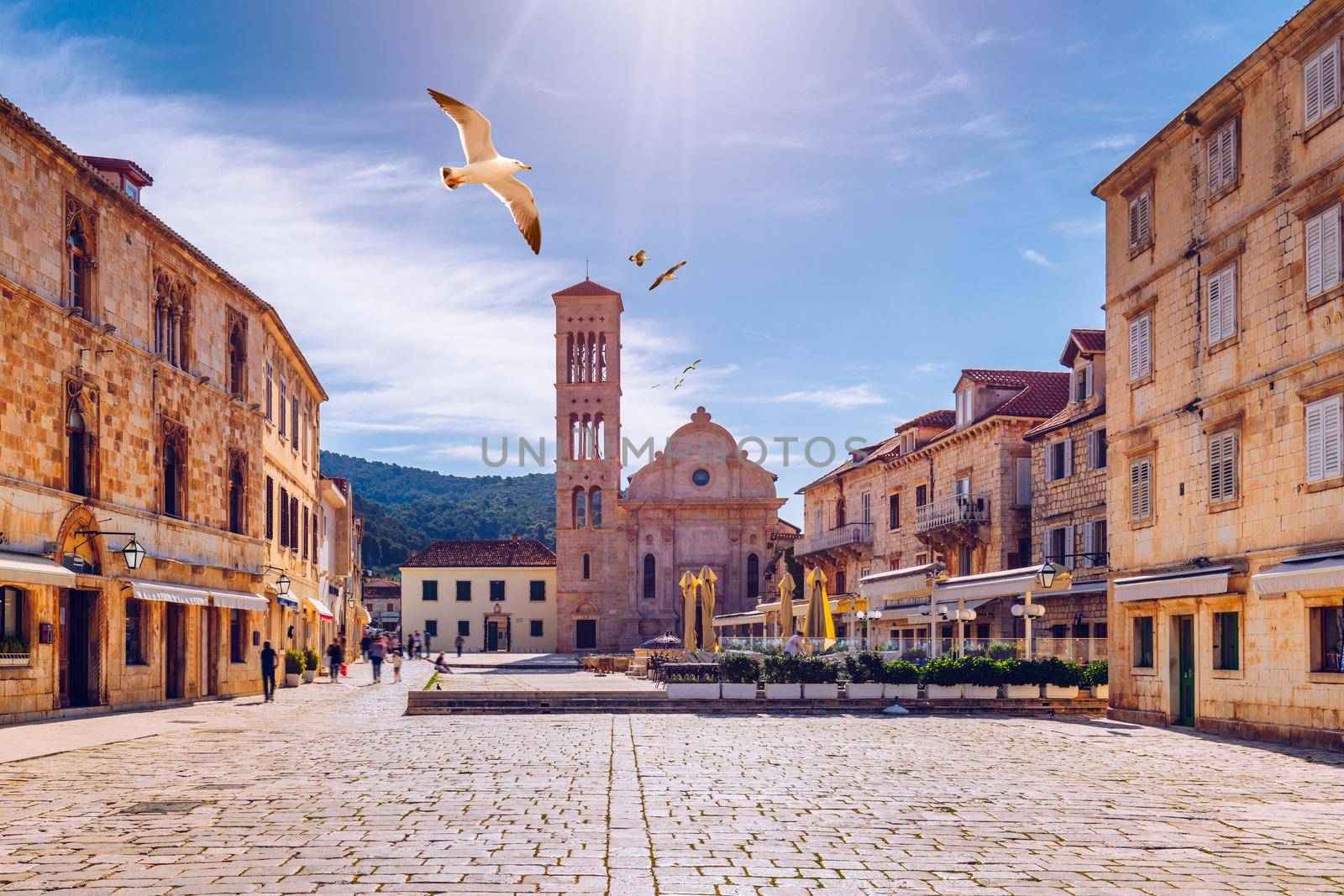 Main square in old medieval town Hvar with seagull's flying over. Hvar is one of most popular tourist destinations in Croatia in summer. Central Pjaca square of Hvar town, Dalmatia, Croatia. 
