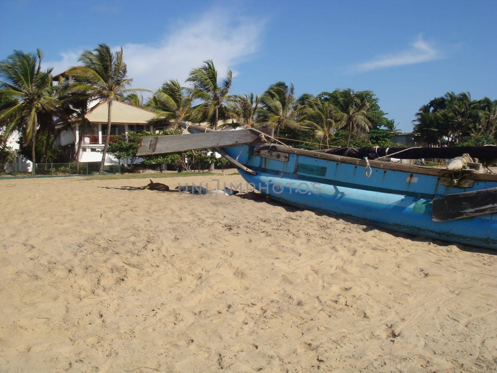 A catamaran fishing boat on a beach in Sri Lanka.