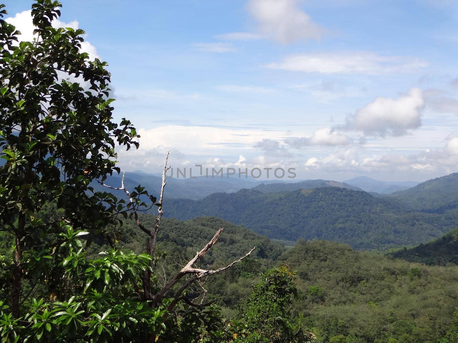 View from Ella Rock, Sri Lanka by Capos