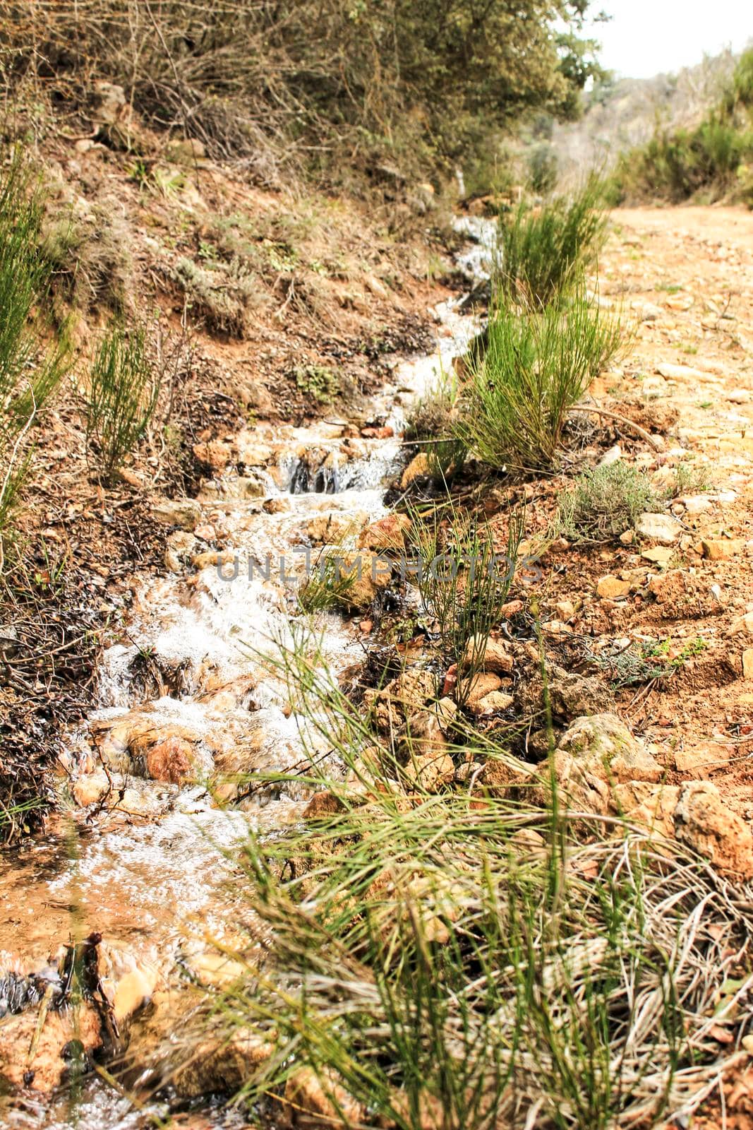 Creek between vegetation in the mountain in Spain