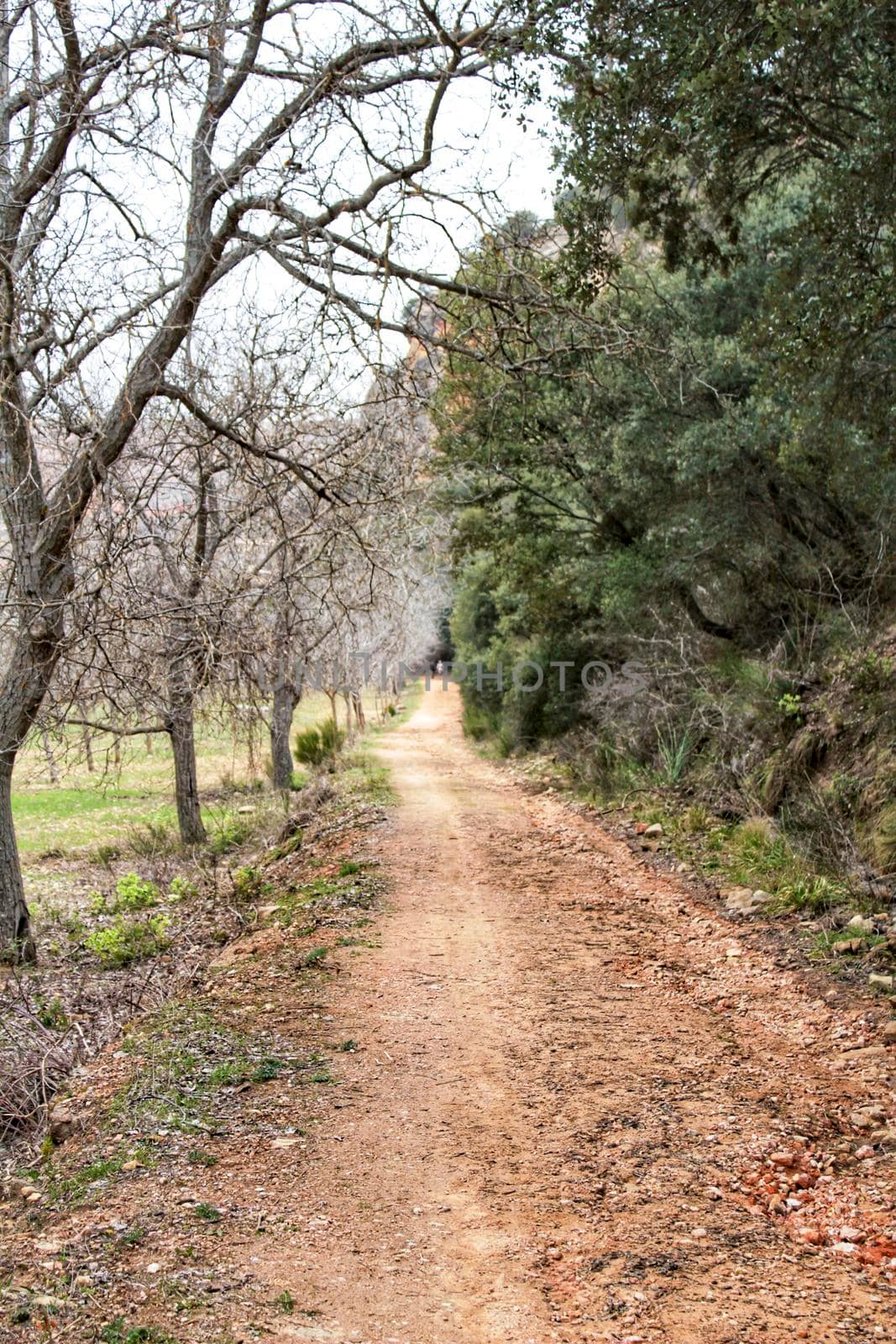 Mountain landscape and path between with green vegetation in spring in Castilla la Mancha, Spain