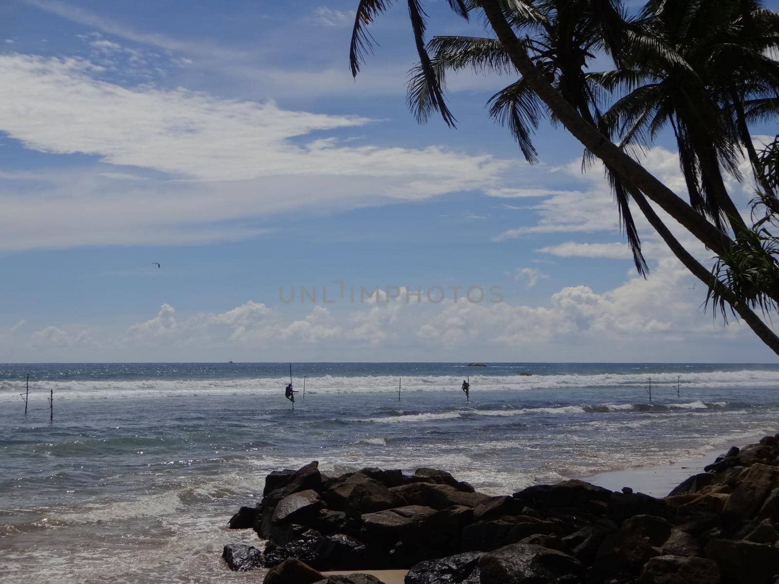 Stilt fishermen near the city of Galle, Sri Lanka.