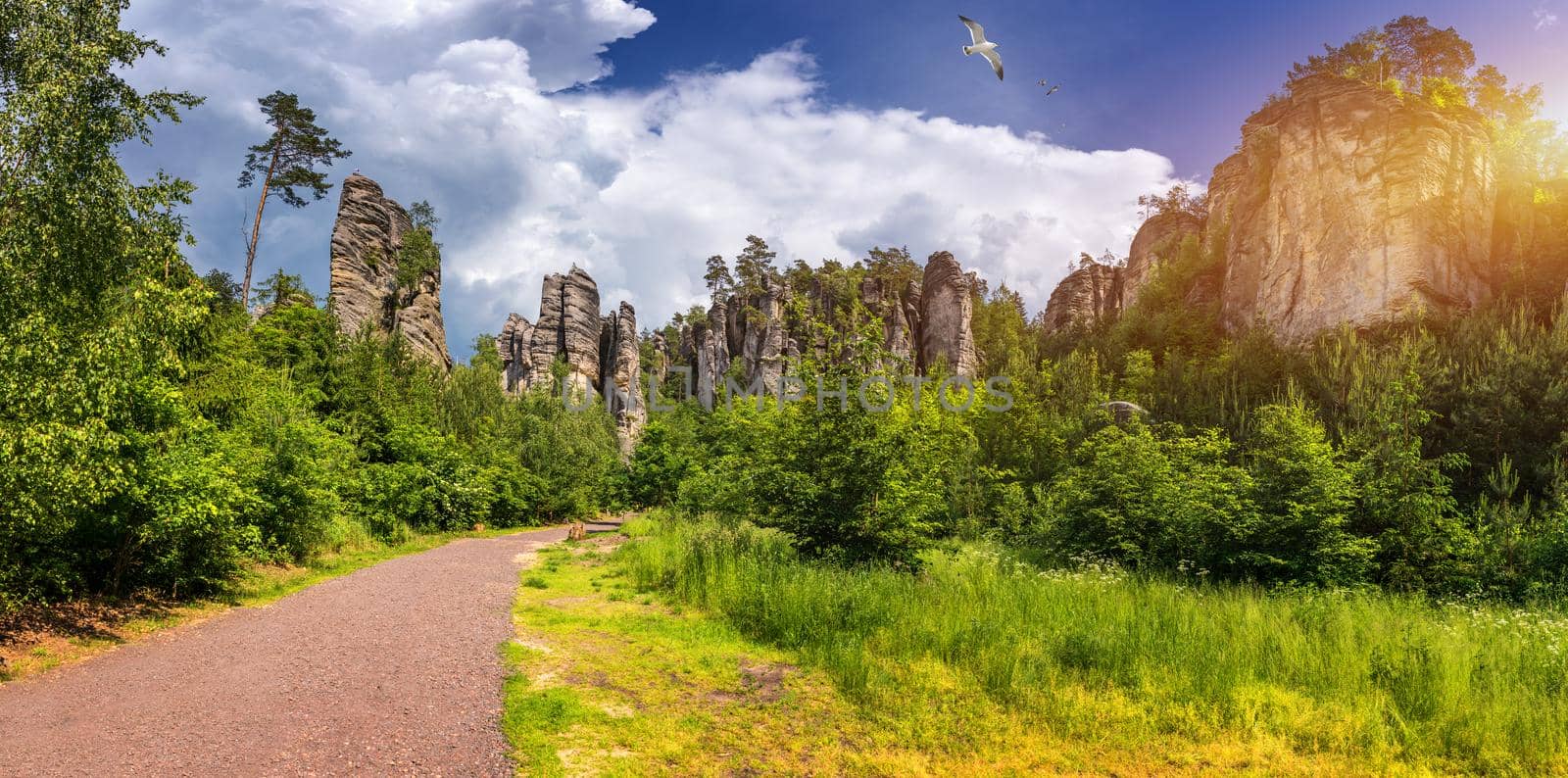 Prachov rocks (Prachovske skaly) in Cesky Raj region, Czech Republic. Sandstone rock formation in vibrant forest. Prachov Rocks, Czech: Prachovske skaly, in Bohemian Paradise, Czech Republic.