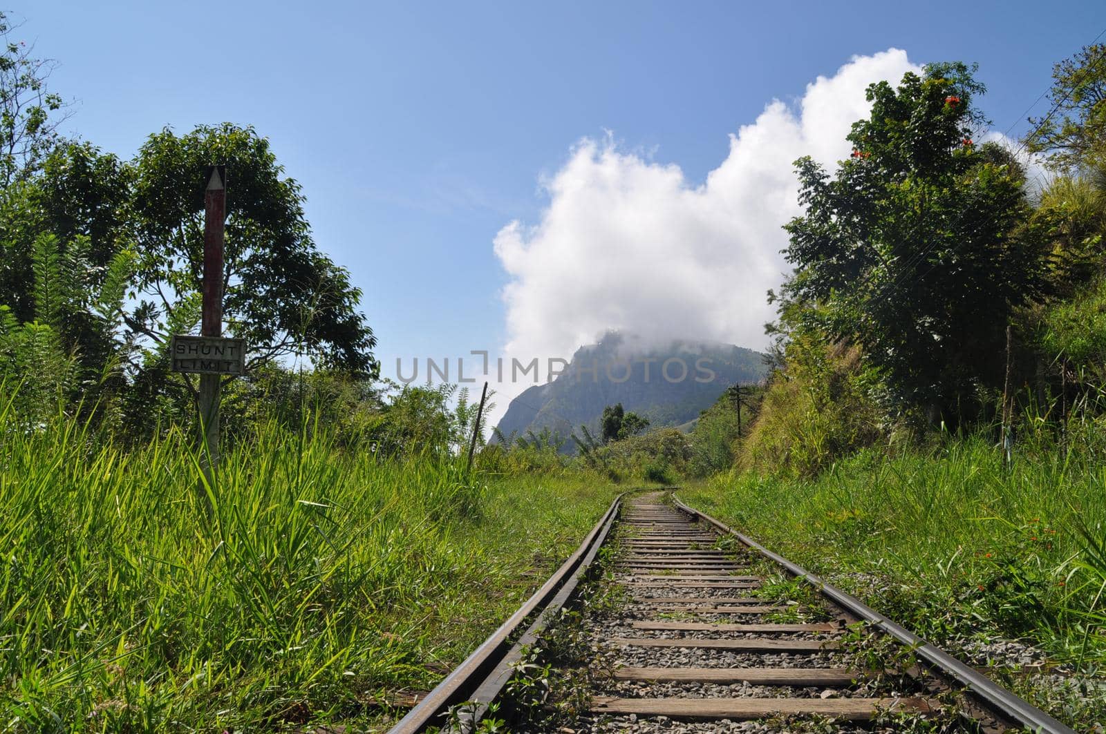 Rail road near the city of Ella, Sri Lanka.